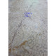 CE3075COL.1