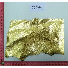 CE3100