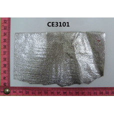 CE3101