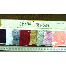 CE3110(2)
