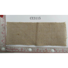 CE3115