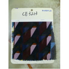 CE3213