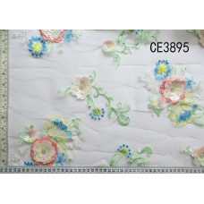 CE3895 (2).jpg
