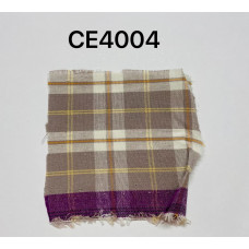 CE4004