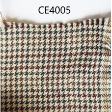 CE4005