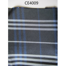 CE4009