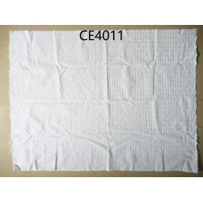 CE4011