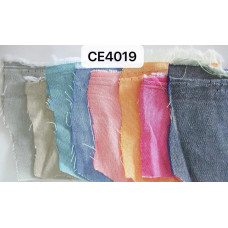 CE4019