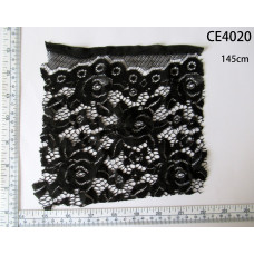 CE4020.
