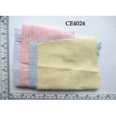 CE4024