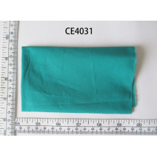 CE4031
