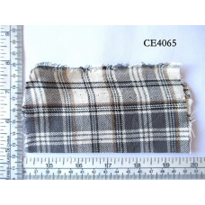 CE4065.jpg