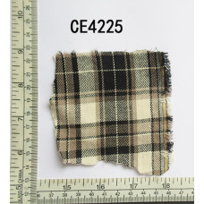 CE4225.jpg