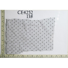 CE4252.jpg