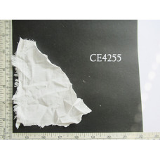 CE4255.jpg