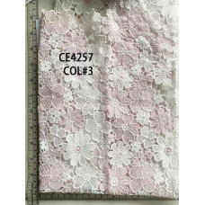 CE4257-2.jpg