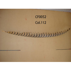 CF0052--112.jpg