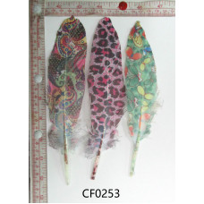 CF0253