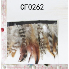 CF0262