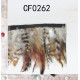 CF0262