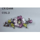 CFJ2488COL.2