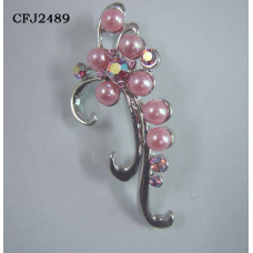 CFJ2489