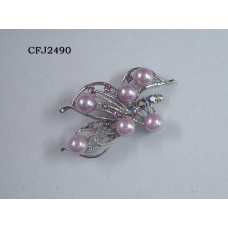 CFJ2490