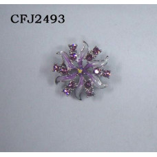 CFJ2493