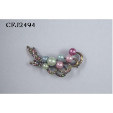 CFJ2494