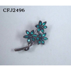 CFJ2496