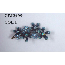 CFJ2499COL.1