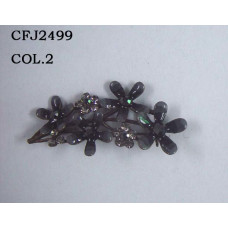CFJ2499COL.2