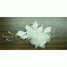CFJ2637-COL1
