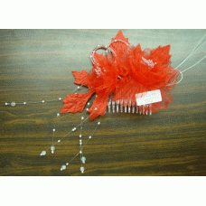 CFJ2637-COL2-2