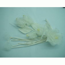 CFJ2641-COL1-2