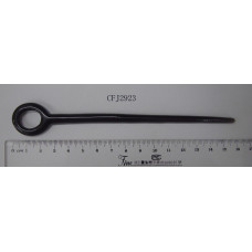 CFJ2923