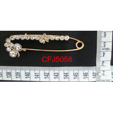 CFJ5058