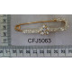 CFJ5063