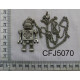 CFJ5070