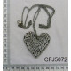 CFJ5072