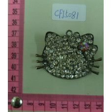 CFJ5081