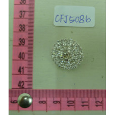 CFJ5086