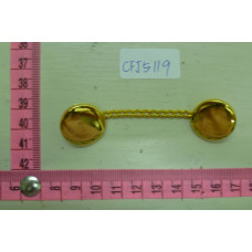 CFJ5119