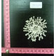 CFJ5243