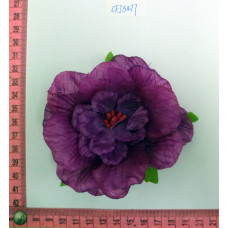CFJ5477