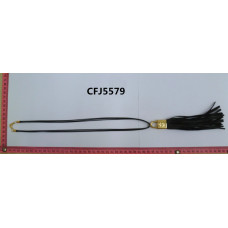 CFJ5579