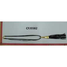 CFJ5582