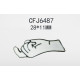 CFJ6487