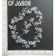 CFJ6808.jpg