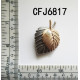 CFJ6817.jpg